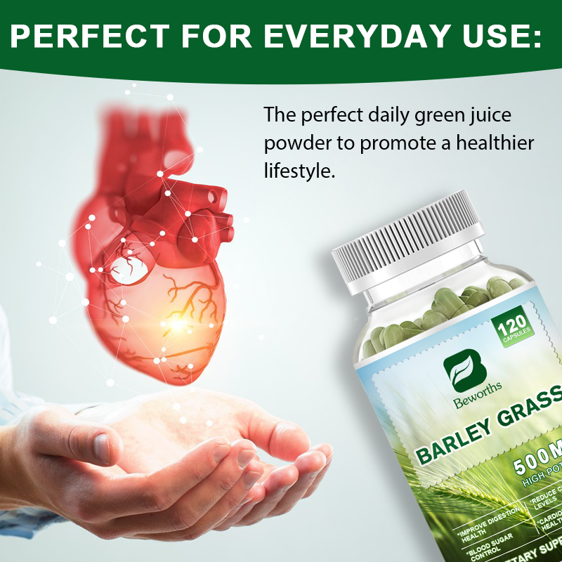 Barley Grass Capsule Factory - OEM Cardiovascular Health Bulk