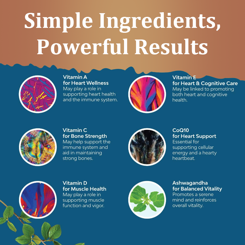 LIFEWORTH Male Daily Nutritional CoQ10 Ashwagandha Men's Multivitamins Gummies for Boost Energy and Immunity