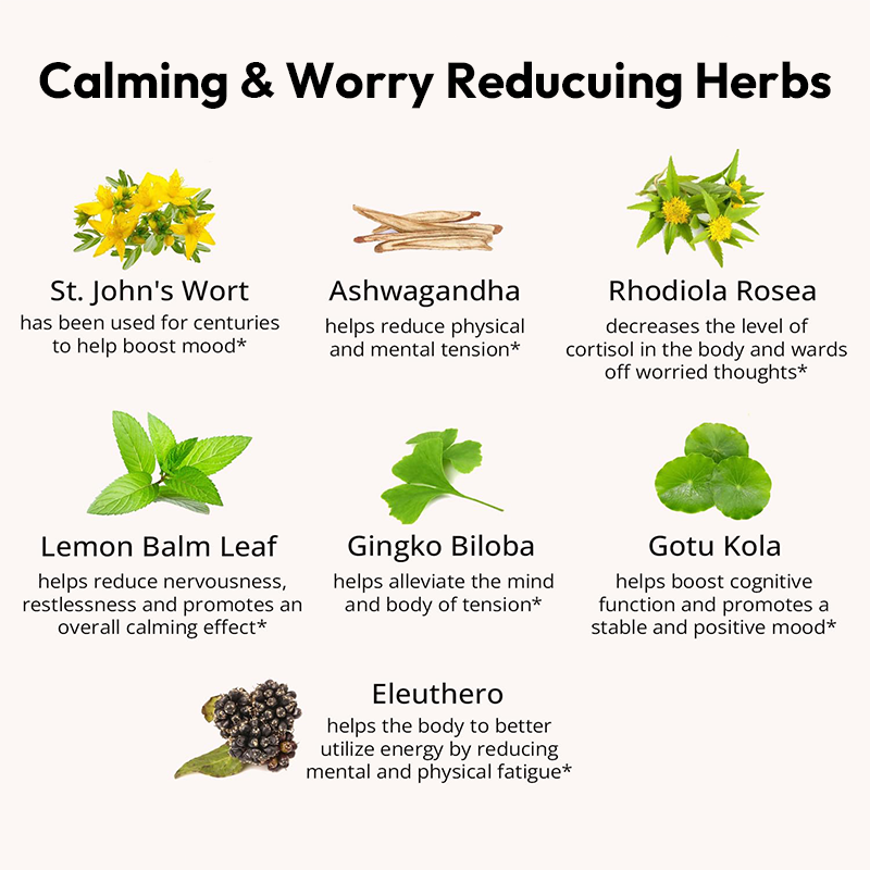 LIFEWORTH Herbal Adaptogens Mood Support Capsules with St. Johns Wort to Helps Calm the Mind and Body