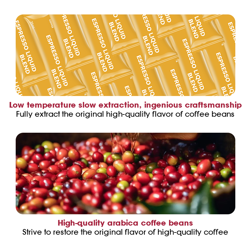 LIFEWORTH Private Label Cold Brew Arabica Instant Liquid Coffee Pouch Bag