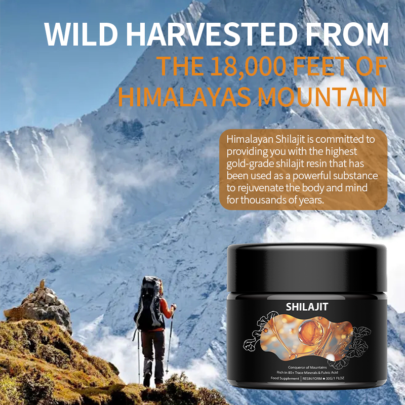 LIFEWORTH High Potency Energy Booster Immune Support Pure Himalayan Shilajit Resin Natural