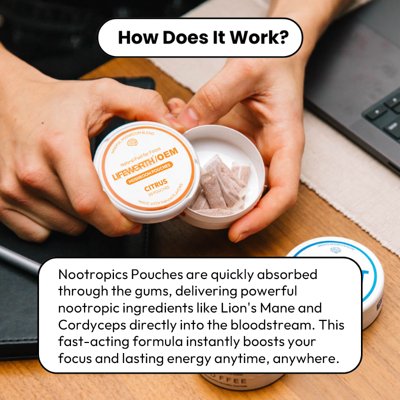 LIFEWORTH Coffee Mint Flavors Mushroom Nootropic Pouches Support Energy Boost 20 Pouches Per Can