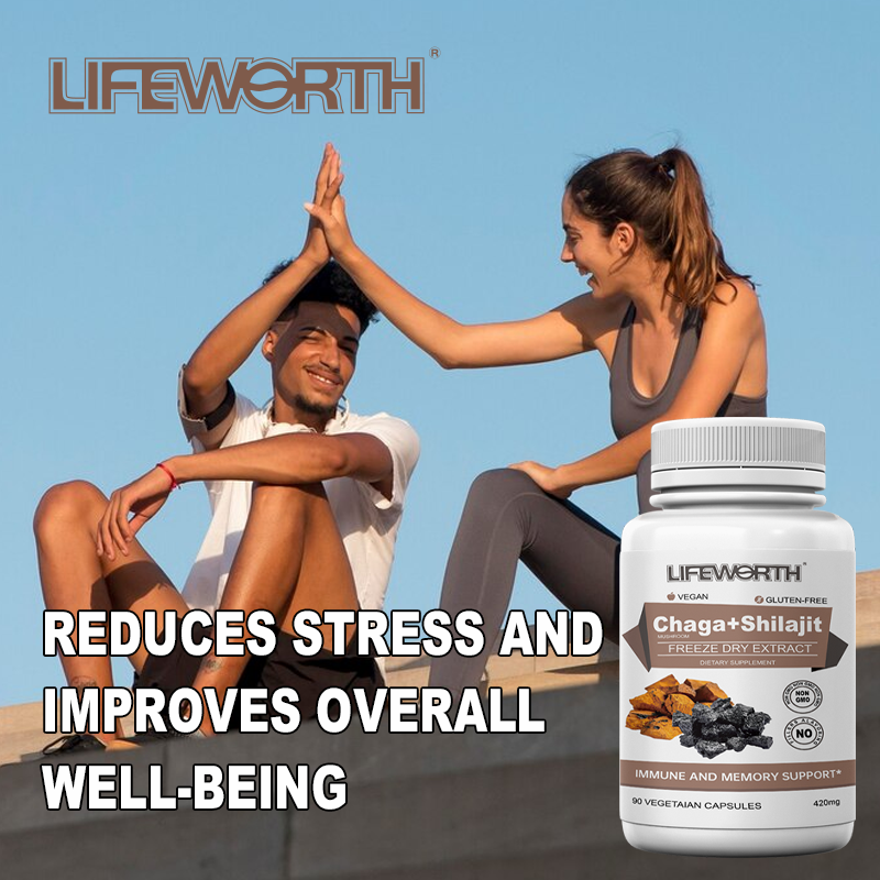 LIFEWORTH GMP Private Label Fulvic Acid Pure Himalayan Original Shilajit Capsules