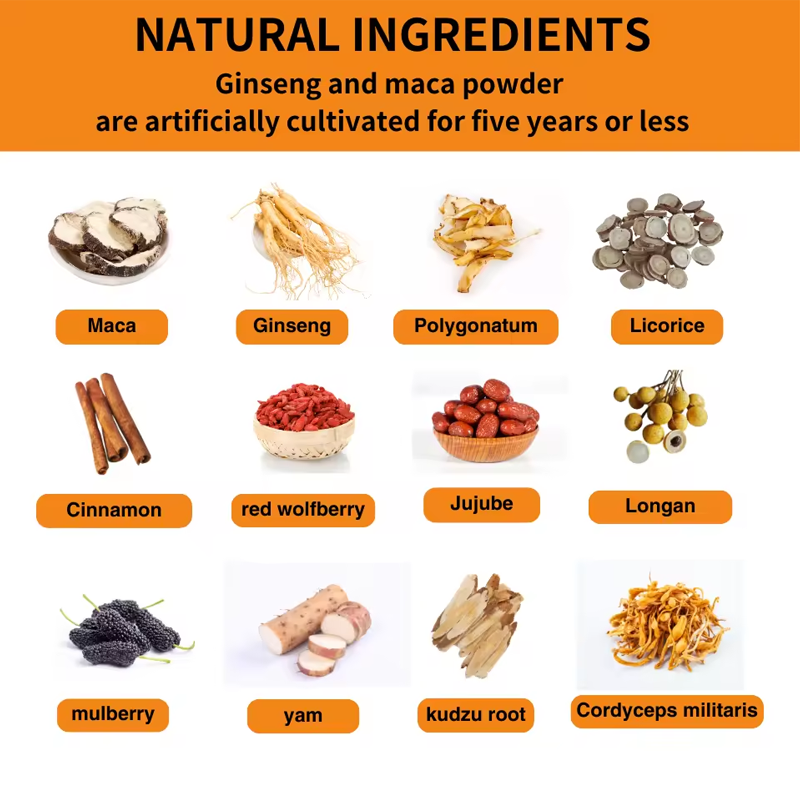 LIFEWORTH OEM Natural Immunity Supplements Energy Maca Ginseng Men Health Tea