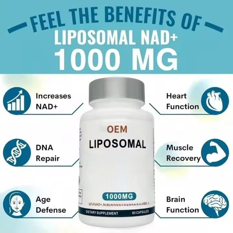 NAD+ Capsules Factory - Hot Selling Liposomal Dietary Supplement