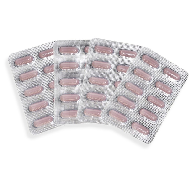 Herbal Pills Supplier - OEM Manufacturer Wholesale Price