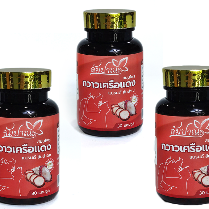 Butea Capsules Factory - OEM GMP Certified Herbal Extract