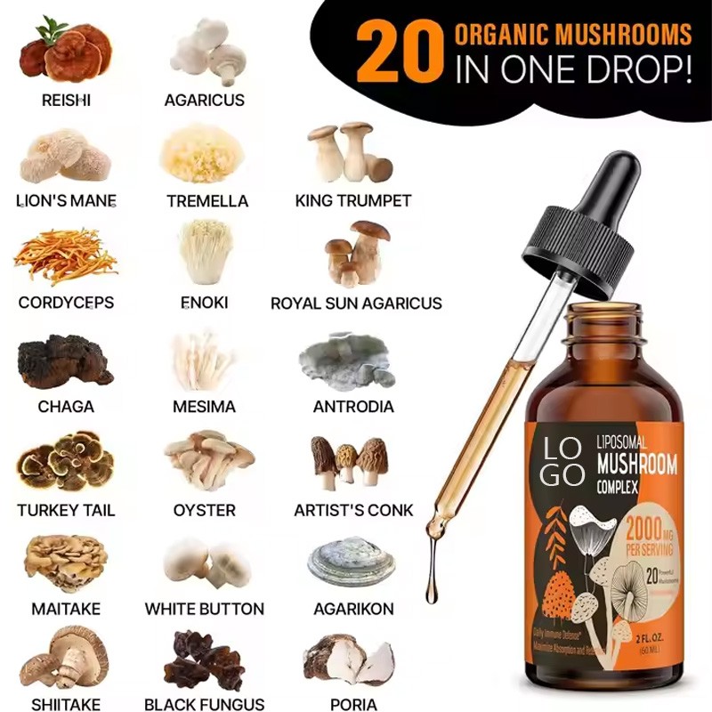 Mushroom Drink Factory - Liposomal Complex Lions Mane Reishi Extract