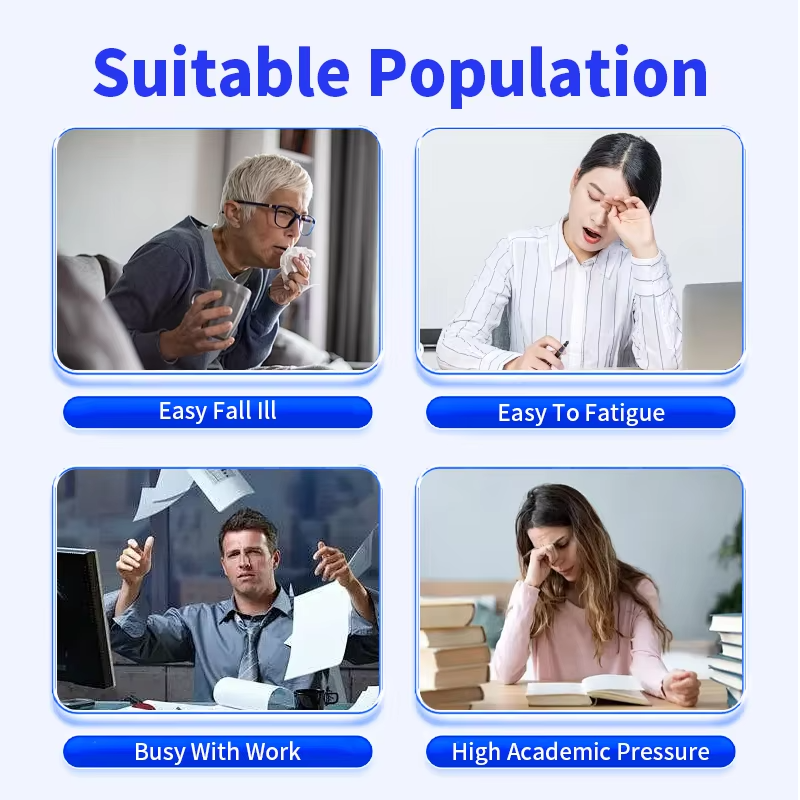 Mushroom Coffee Capsules Factory - OEM Enzyme Supplement Blend