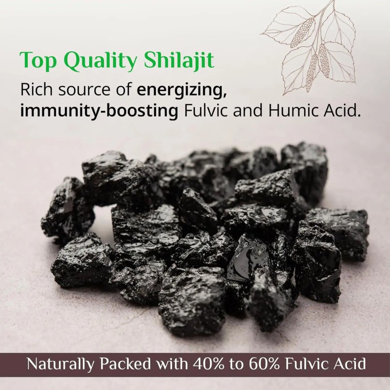Shilajit Tablets Factory - Pure Himalayan Resin Customizable Health Food