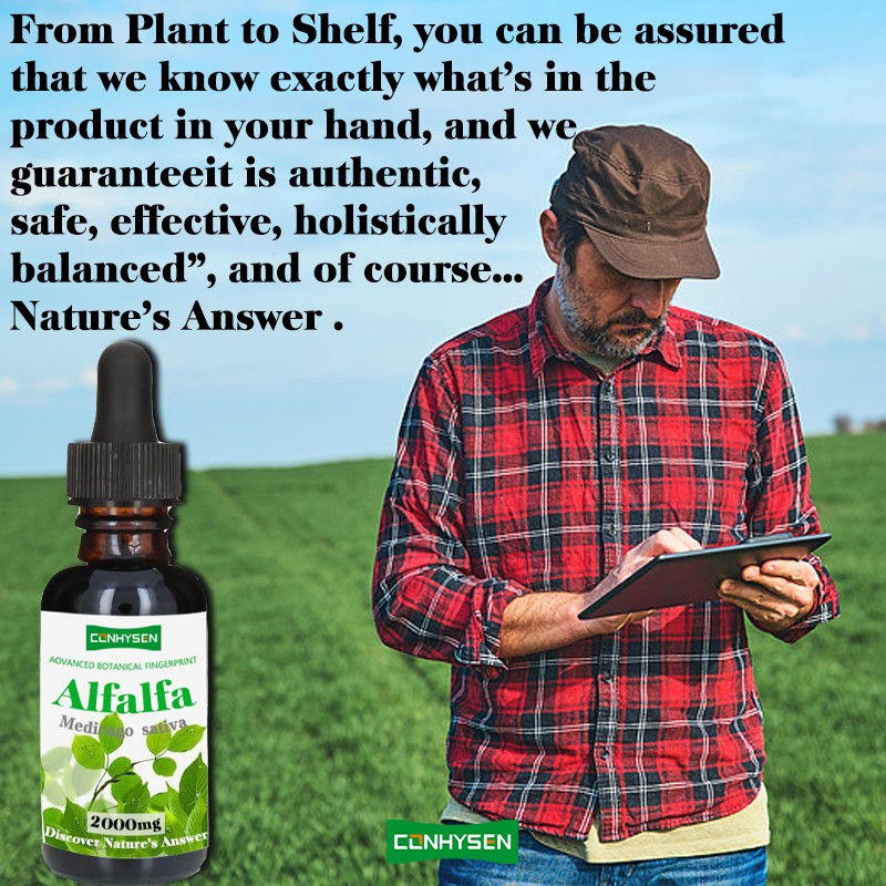 Alfalfa Drops Manufacturer - Factory Direct Immune System Energy Detox