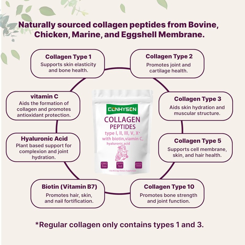 Collagen Peptides Powder Supplier - OEM ODM Skin Hair Joint Anti Aging