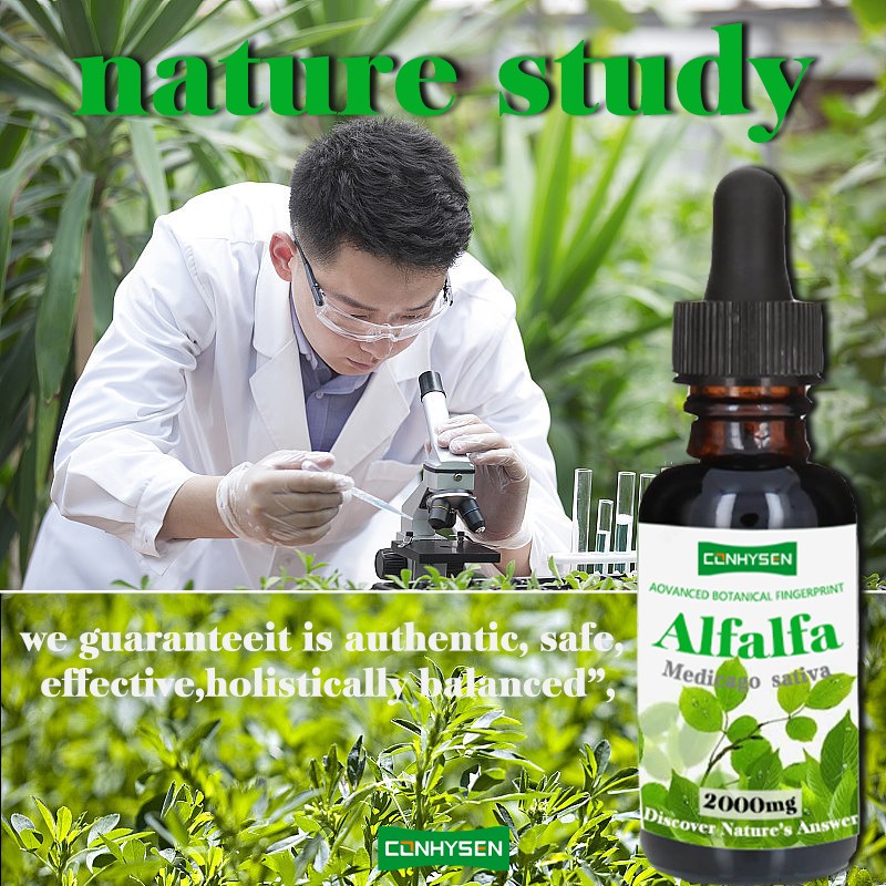 Alfalfa Drops Manufacturer - Factory Direct Immune System Energy Detox