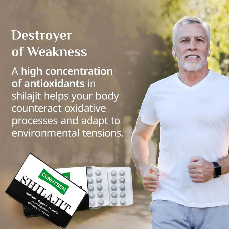 Shilajit Tablets Factory - Pure Himalayan Resin Customizable Health Food