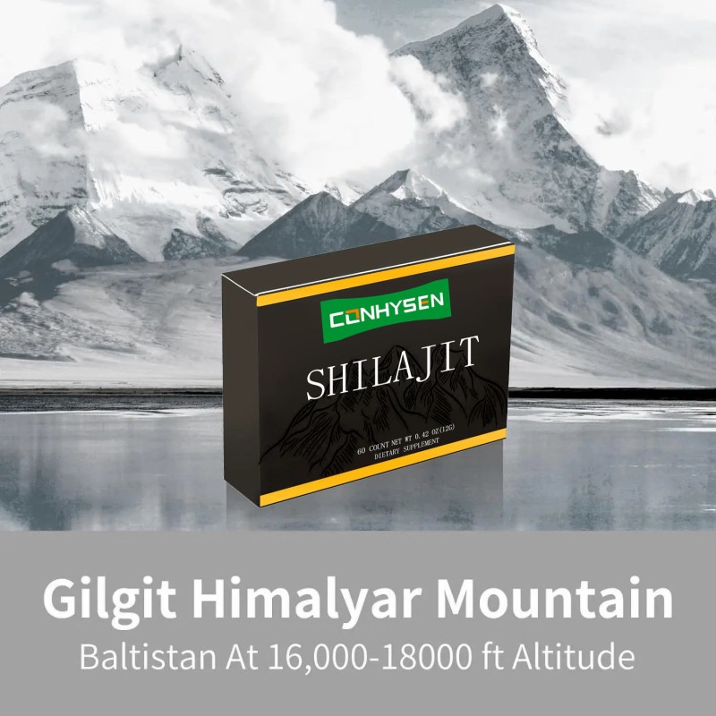 Shilajit Extract Pills Supplier - Pure Himalayan Organic Fulvic Minerals