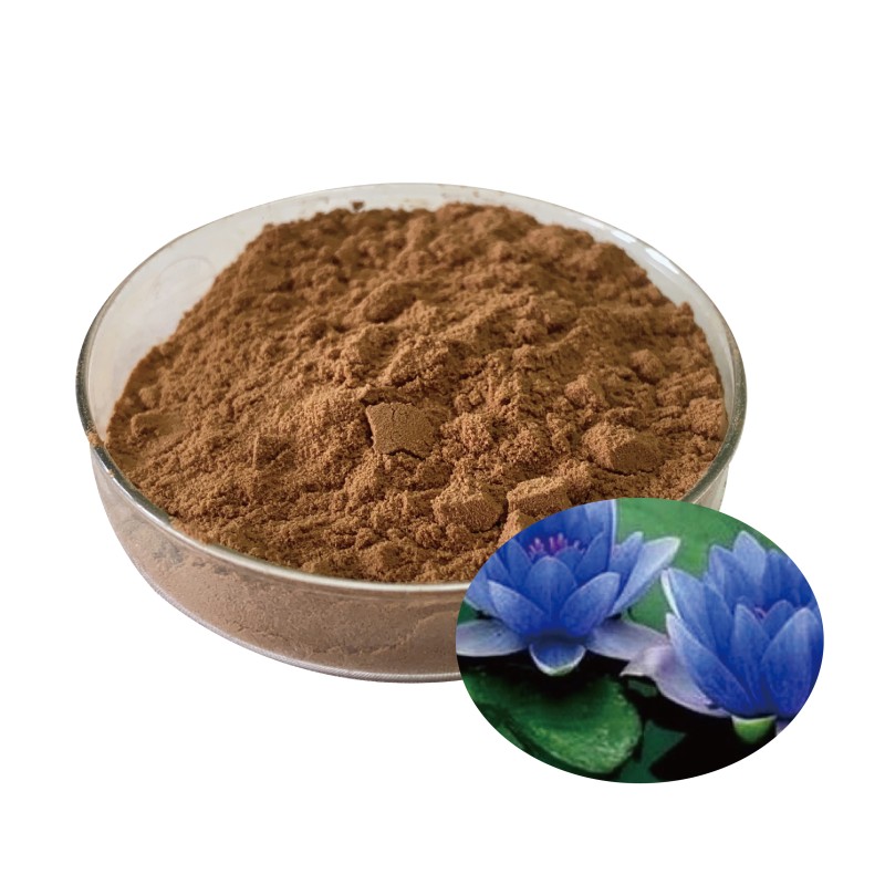 Water Lily Extract Factory - OEM Pure Nymphaea Alba 10:1 Food Grade