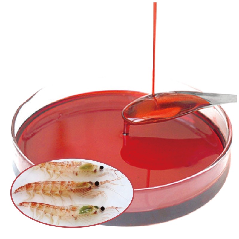 Krill Oil Supplier - OEM Antarctic 500mg Phospholipid Omega-3