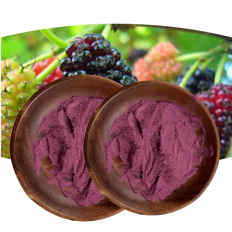 Blackcurrant Powder Manufacturer - OEM Food Grade 100g 25% Anthocyanin