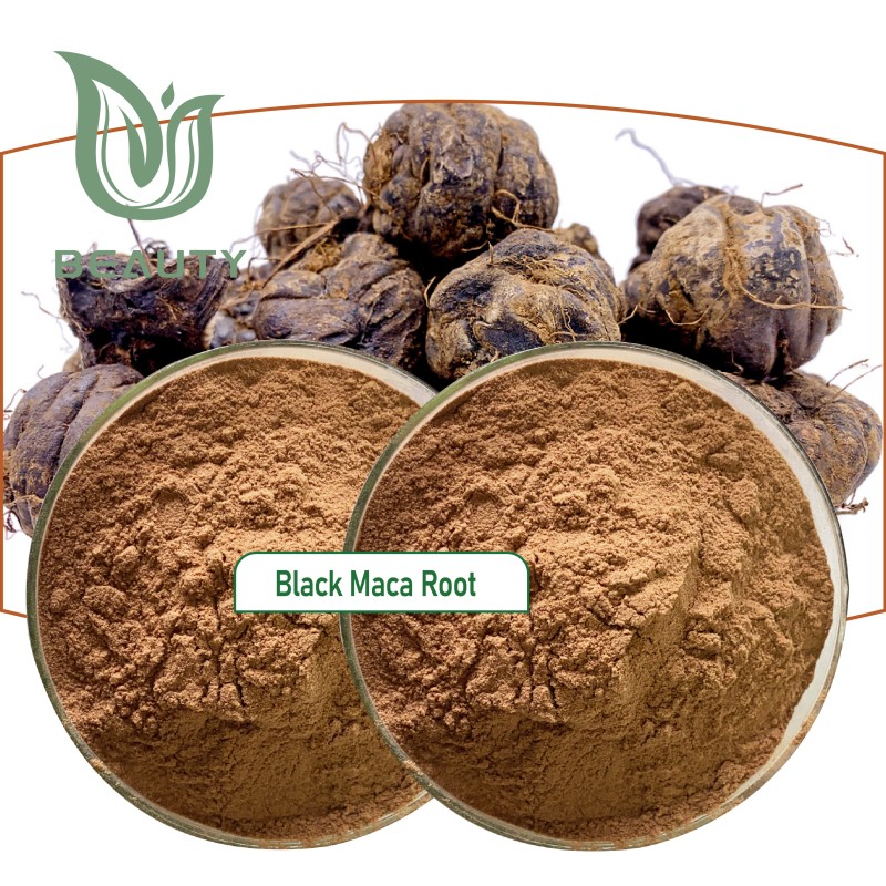 Black Maca Powder Supplier - High Quality 10:1 Extract Root Powder