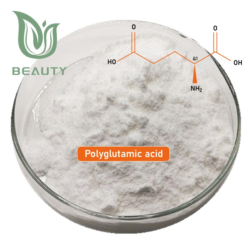 Polyglutamic Acid Powder Supplier - Cosmetic Skincare Raw Material PGA