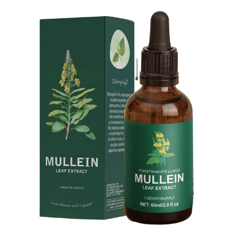 Mullein Extract Supplier - Private Label 10:1 Concentrated Organic Leaf