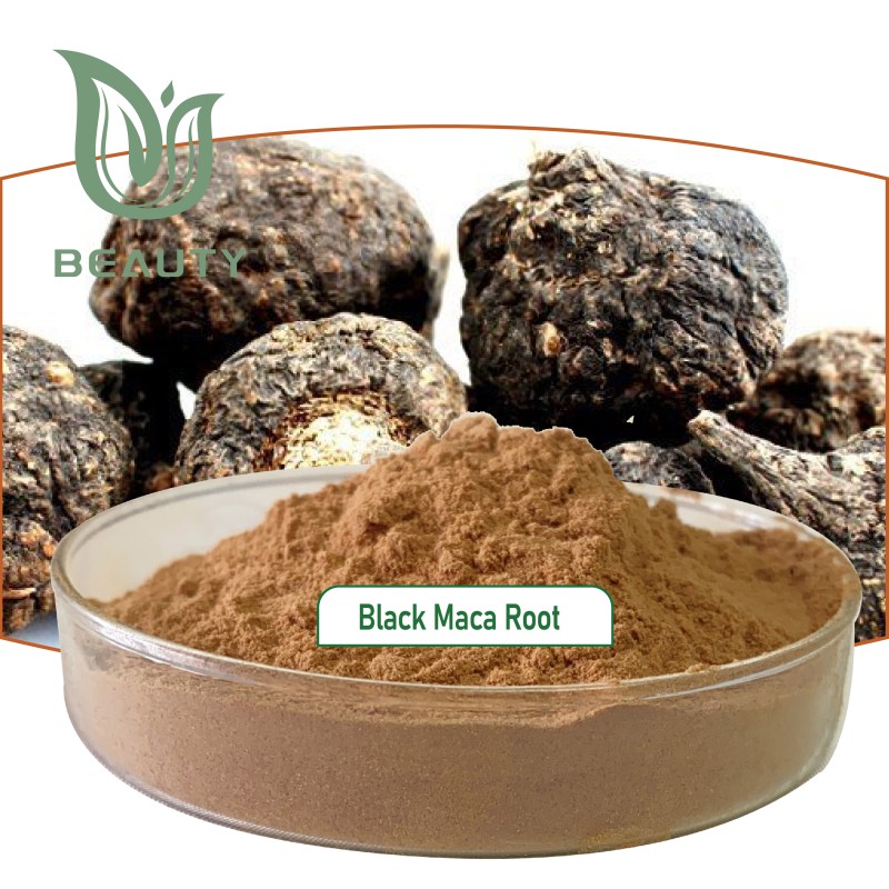 Black Maca Powder Supplier - High Quality 10:1 Extract Root Powder