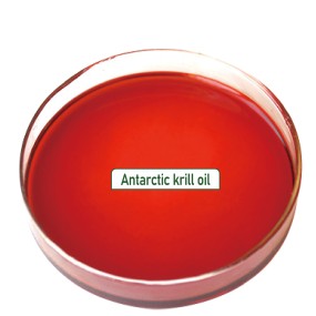 Krill Oil Supplier - OEM Antarctic 500mg Phospholipid Omega-3