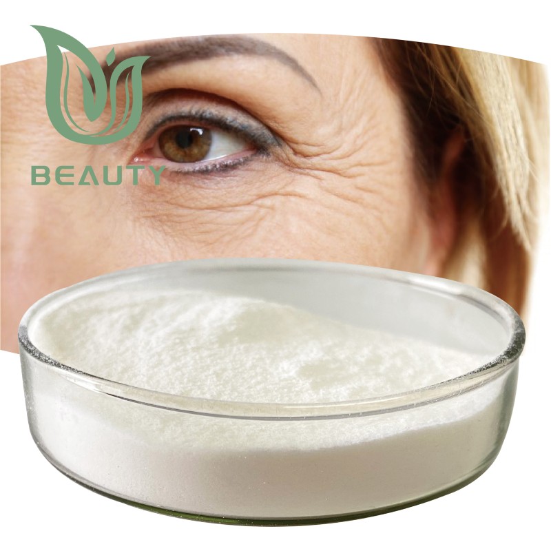 Vitamin A Palmitate Powder Manufacturer - High Quality Cosmetic Grade CAS 79-81-2
