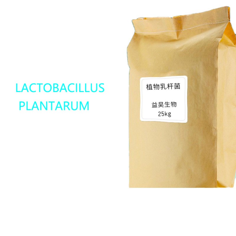 China Factory Supply Probiotic Powder Lactobacillus Plantarum for Aquaculture Purifying Water Quality