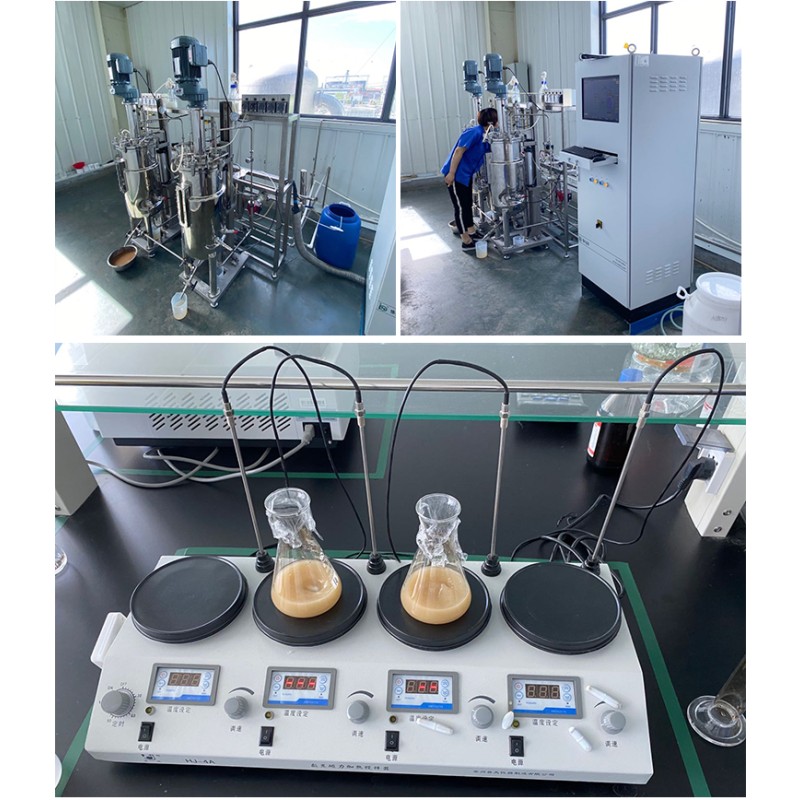 High Quality Improve Feed Utilization and Production Performance 10 Billion China Bag Packaging Fish Food White Fish Powder 1 Kg