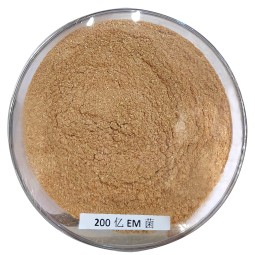 Best Price EM Powder for Aquaculture Manufacturer Direct Sale-Microorganism Probiotics for Concentration