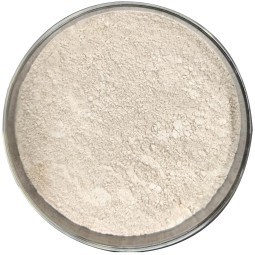 China Manufacturer Feed Additive Feed Enzyme for Animal Feed