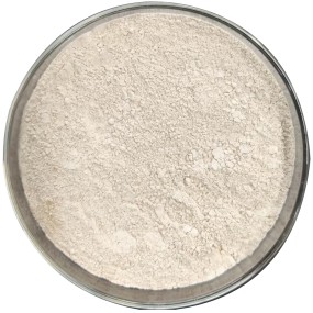 China Manufacturer Feed Additive Feed Enzyme for Animal Feed