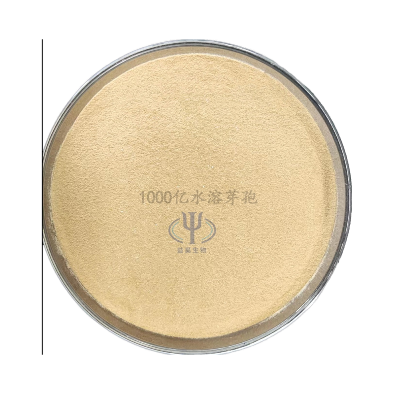 High Quality Animal Probiotics Feed Additives Beneficial Bacteria for Animal Health