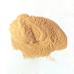 China Manufacturer Feed Additive Neutral Protease  Industrial Enzymes for Animal Feed