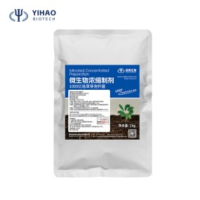 Flexible Production Bacillus Megaterium Chemical Raw Materials Fertility Booster