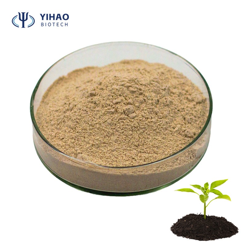 Factory  Supply Bacillus Subtilis Fiyati Bacillus Coagulans Fertilizer Plant