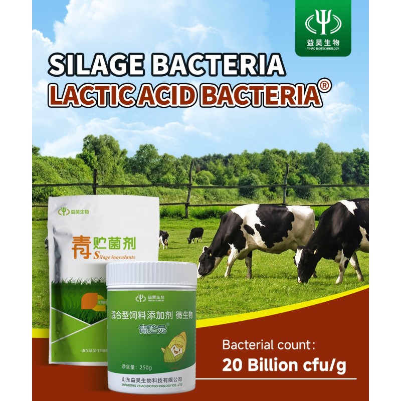 Top Quality Promote Growth Compound Probiotics Silage Maize Ground Silage-making