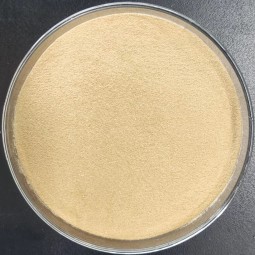 Factory Price Bacillus Subtilis Probiotics 50 Billion Bacteria Strain for Reducing Ammonia Nitrogen & Nitrite Wastewater