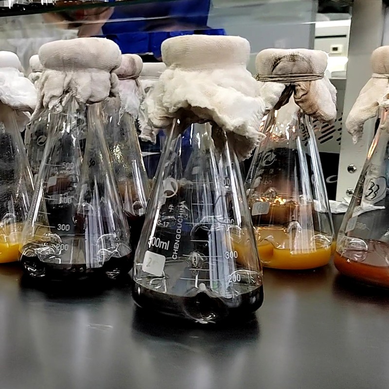 High Quality Customizable Feed Additive Acid Protease Enzyme for Animal Feed Feed Grade Amino Acids