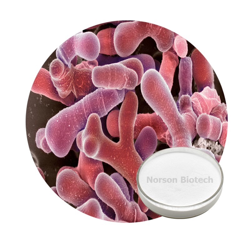 Bifidobacterium Breve Probiotic Strain