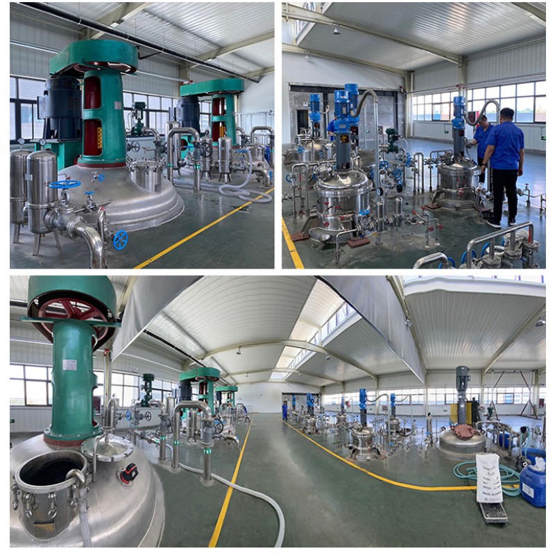 Reliable Lactobacillus Plantarum Probiotics Powder Feed Additives for Aquaculture