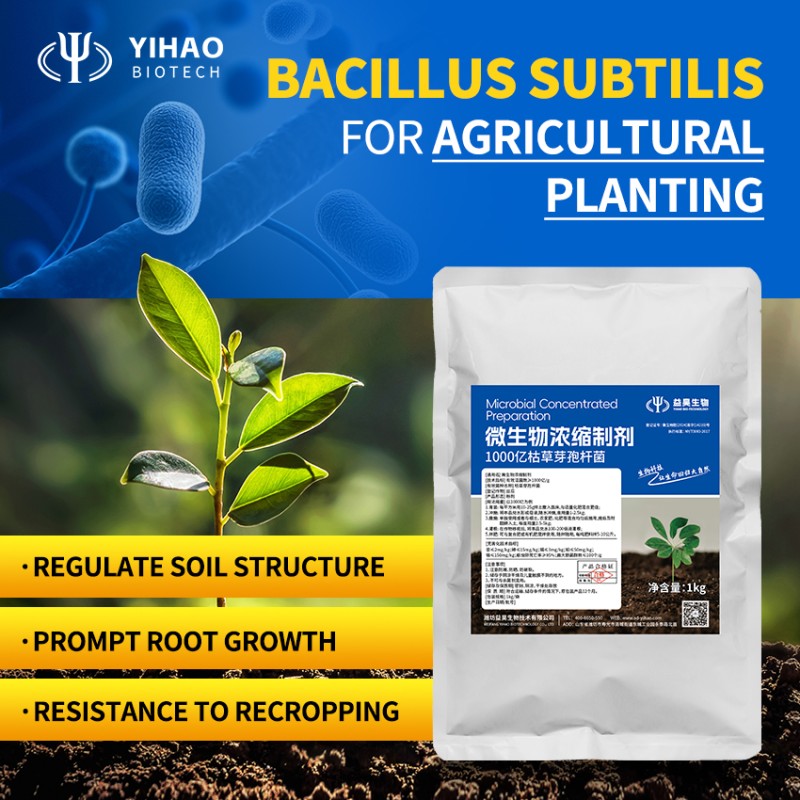 Flexible Production Bacillus Megaterium Chemical Raw Materials Fertility Booster