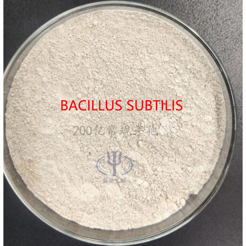 Hot Sale 10 Billion Bacillus Subtilis Effective Microorganisms Probiotics for Control Harmful Bacteria