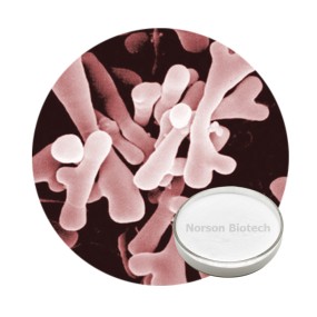 Bifidobacterium Infantis Powder for Infant Formula Milk