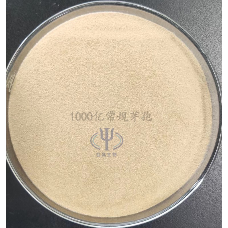 China Manufacturer Direct Supply Bacillus Subtilis Feed Additive for Aquacuture 25kg /Bag