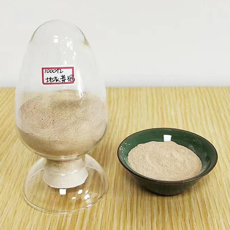 Manufacturer Direct Supply Brown Powder Bacillus Licheniformis Probiotics for Aquaculture Animals Enhances Resistance