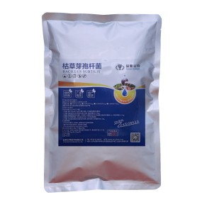 High Quality Bacillus Subtilis Probiotics for Aquaculture Feed Additive Best Price from China Manufacturer