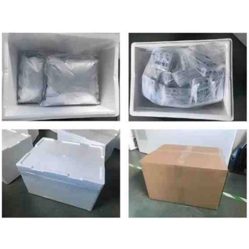 Lactobacillus Reuteri Probiotic Strain