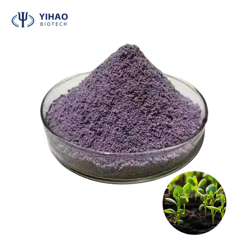 Factory  Supply Corn Fertilizer Fungicides Bacillus Coagulans Other Agriculture Products